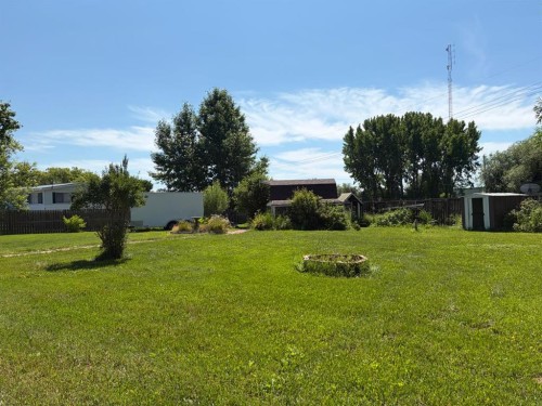 4439 Park Crescent, Coronation, AB - Outdoor