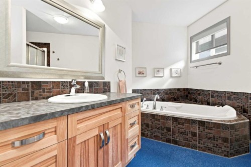 132 Downing Close, Red Deer, AB - Indoor Photo Showing Bathroom