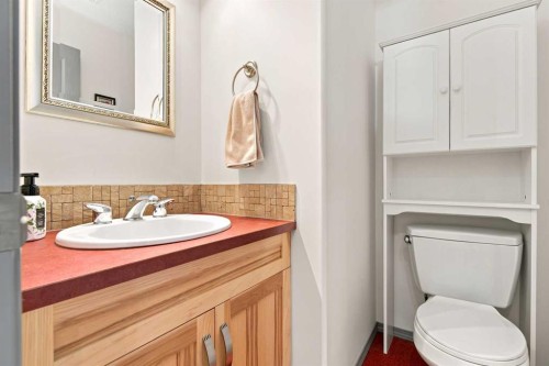 132 Downing Close, Red Deer, AB - Indoor Photo Showing Bathroom