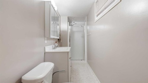 5107 58 Street, Camrose, AB - Indoor Photo Showing Bathroom