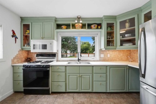 3742 44 Avenue, Red Deer, AB - Indoor Photo Showing Kitchen With Double Sink