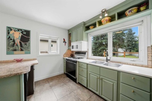 3742 44 Avenue, Red Deer, AB - Indoor Photo Showing Kitchen With Double Sink