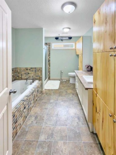 128 12 Ave Ne, Sundre, AB - Indoor Photo Showing Bathroom