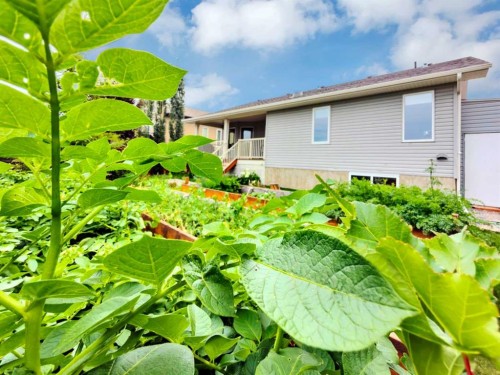 128 12 Ave Ne, Sundre, AB - Outdoor