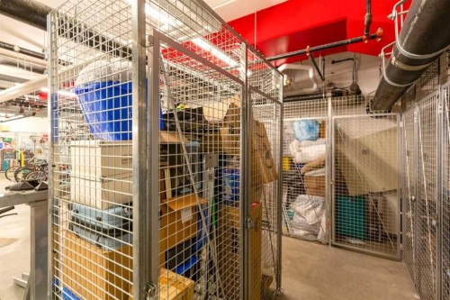 503-450 8 Avenue Se, Calgary, AB - Indoor With Storage