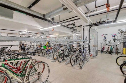 503-450 8 Avenue Se, Calgary, AB - Indoor Photo Showing Garage