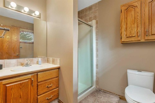 19 Mayberry Close, Red Deer, AB - Indoor Photo Showing Bathroom