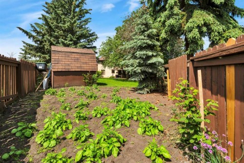19 Mayberry Close, Red Deer, AB - Outdoor