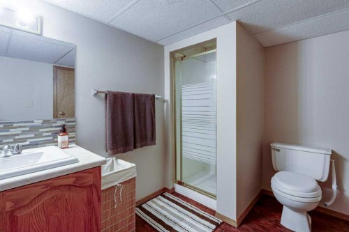 6 Ramsey Avenue, Red Deer, AB - Indoor Photo Showing Bathroom