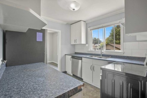 5330 42A Avenue, Red Deer, AB - Indoor Photo Showing Kitchen With Double Sink