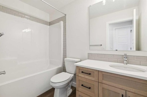 467 Buffaloberry Manor Se, Calgary, AB - Indoor Photo Showing Bathroom