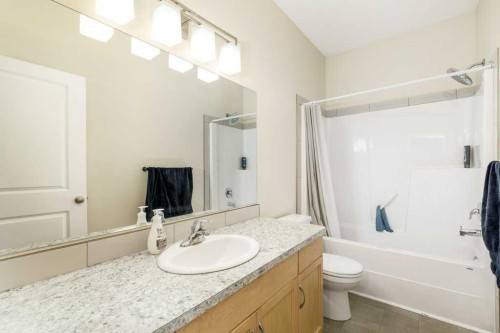 77 Alderwood Close, Blackfalds, AB - Indoor Photo Showing Bathroom