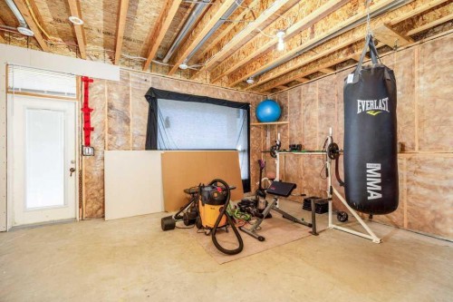 77 Alderwood Close, Blackfalds, AB - Indoor Photo Showing Basement