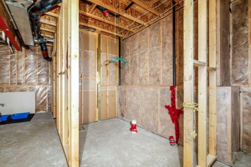 77 Alderwood Close, Blackfalds, AB - Indoor Photo Showing Basement