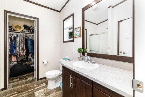 4705 45 Avenue, Alix, AB - Indoor Photo Showing Bathroom