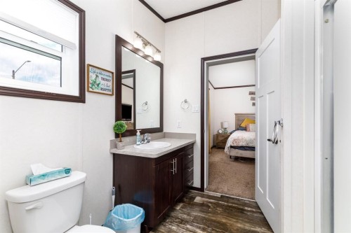 4705 45 Avenue, Alix, AB - Indoor Photo Showing Bathroom
