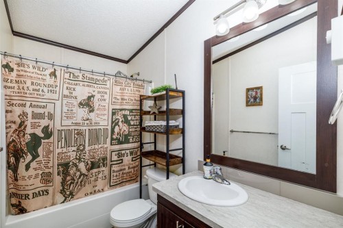4705 45 Avenue, Alix, AB - Indoor Photo Showing Bathroom
