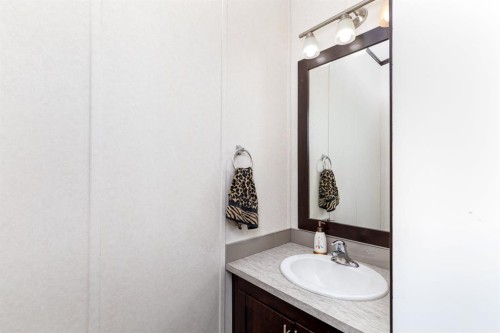 4705 45 Avenue, Alix, AB - Indoor Photo Showing Bathroom