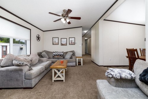4705 45 Avenue, Alix, AB - Indoor Photo Showing Living Room