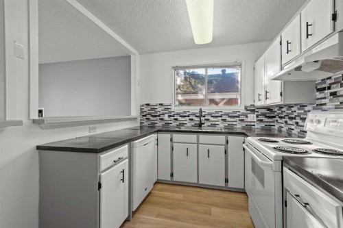 602 Royal Drive, Trochu, AB - Indoor Photo Showing Kitchen With Double Sink