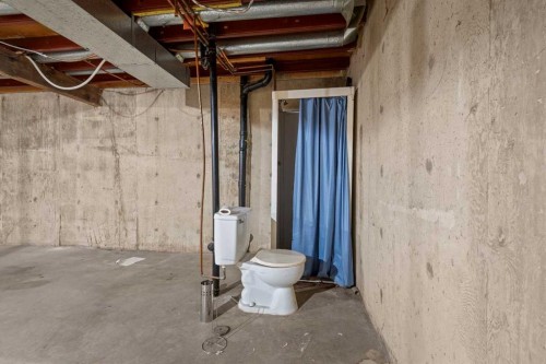 602 Royal Drive, Trochu, AB - Indoor Photo Showing Basement