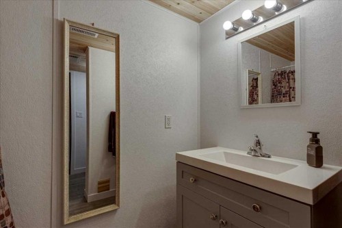 109 Selkirk Boulevard, Red Deer, AB - Indoor Photo Showing Bathroom