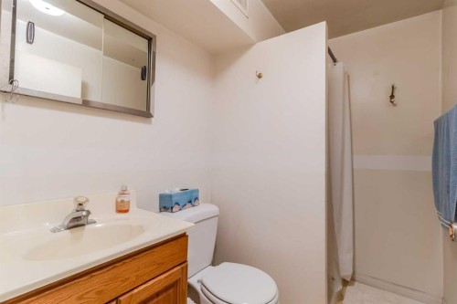 39 Ogden Ave. Avenue, Red Deer, AB - Indoor Photo Showing Bathroom