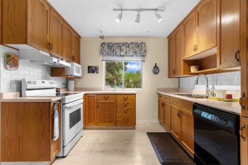 39 Ogden Ave. Avenue, Red Deer, AB - Indoor Photo Showing Kitchen With Double Sink
