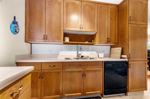 39 Ogden Ave. Avenue, Red Deer, AB - Indoor Photo Showing Kitchen With Double Sink