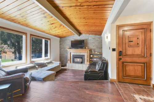 9 Cronquist Close, Red Deer, AB - Indoor Photo Showing Living Room With Fireplace