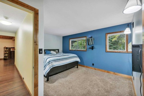 9 Cronquist Close, Red Deer, AB - Indoor Photo Showing Bedroom