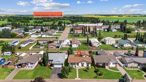 5413 48 Avenue West, Forestburg, AB - Outdoor With View