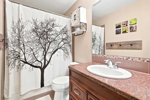 16 Viscount Drive, Red Deer, AB - Indoor Photo Showing Bathroom
