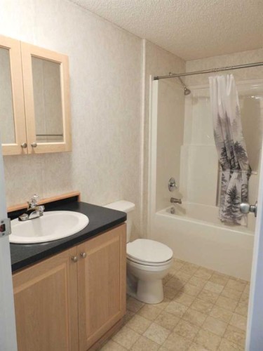 218 Oak Wood Drive Nw, Edmonton, AB 