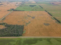 Pt NE-9-49-26-W4 RR 263 Rural Leduc County, AB T0C 0V0