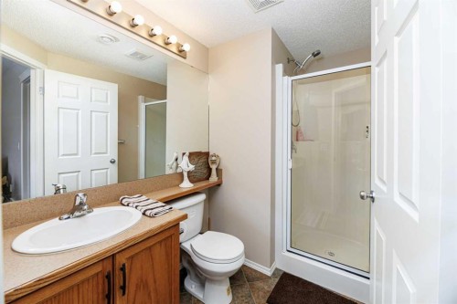 444 Jenkins Drive, Red Deer, AB - Indoor Photo Showing Bathroom