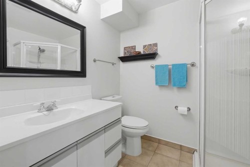 280 Barrett Drive, Red Deer, AB - Indoor Photo Showing Bathroom
