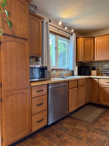 107 Balaclava Street, Veteran, AB - Indoor Photo Showing Kitchen With Double Sink