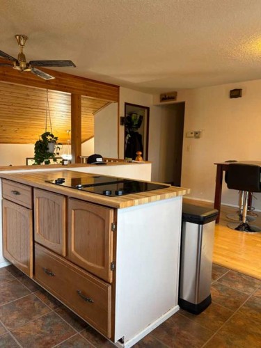107 Balaclava Street, Veteran, AB - Indoor Photo Showing Kitchen
