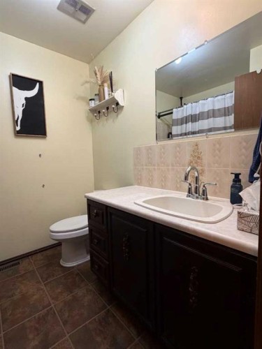 107 Balaclava Street, Veteran, AB - Indoor Photo Showing Bathroom