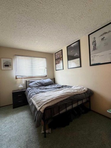 107 Balaclava Street, Veteran, AB - Indoor Photo Showing Bedroom
