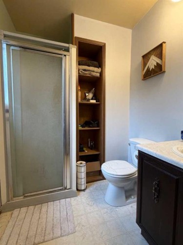 107 Balaclava Street, Veteran, AB - Indoor Photo Showing Bathroom