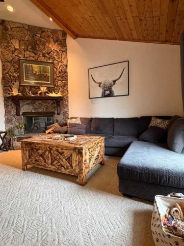 107 Balaclava Street, Veteran, AB - Indoor Photo Showing Living Room With Fireplace