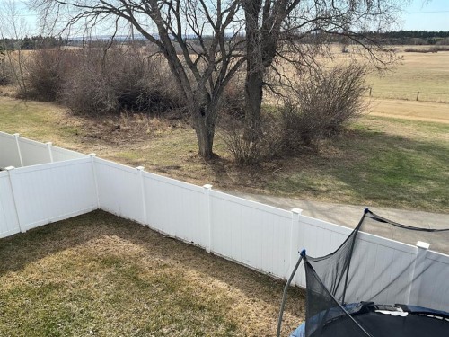 118 Mitchell Crescent, Blackfalds, AB 