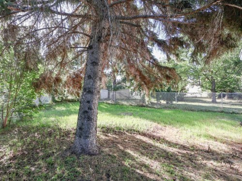 6024 Spruce Crescent, Stettler, AB 