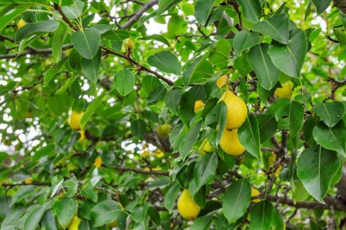 104 Old Boomer Road, Sylvan Lake, AB 