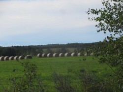 414012 Range Road 6-2  Rural Clearwater County, AB T4T 2A1