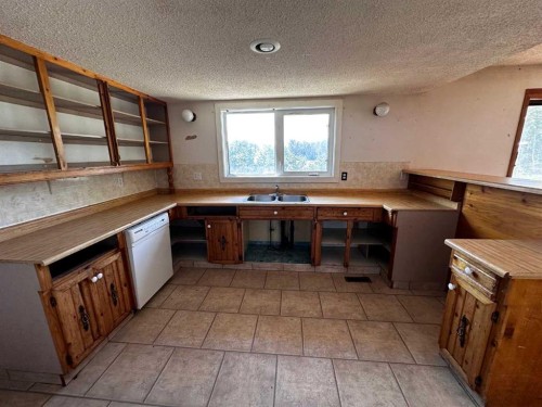 4809 51 Street, Mirror, AB - Indoor Photo Showing Kitchen With Double Sink