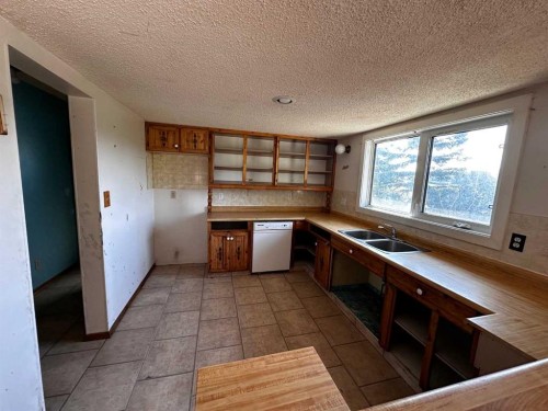 4809 51 Street, Mirror, AB - Indoor Photo Showing Kitchen With Double Sink