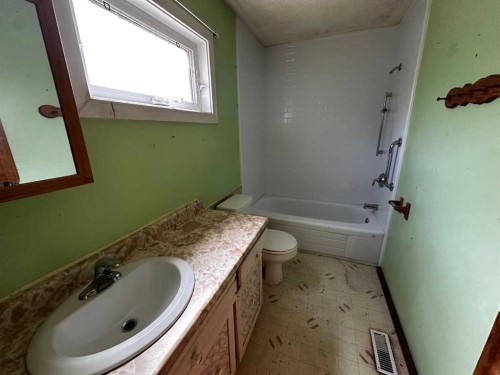4809 51 Street, Mirror, AB - Indoor Photo Showing Bathroom